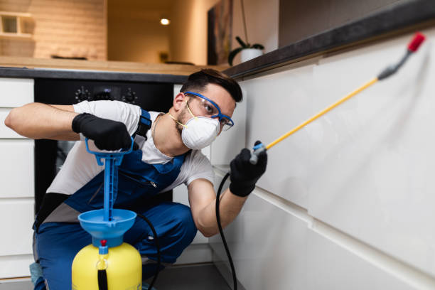 Best Pest Inspection Near Me  in Darien Downtown, CT