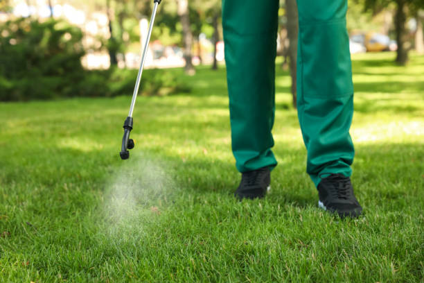 Best Pest Control for Businesses  in Darien Downtown, CT