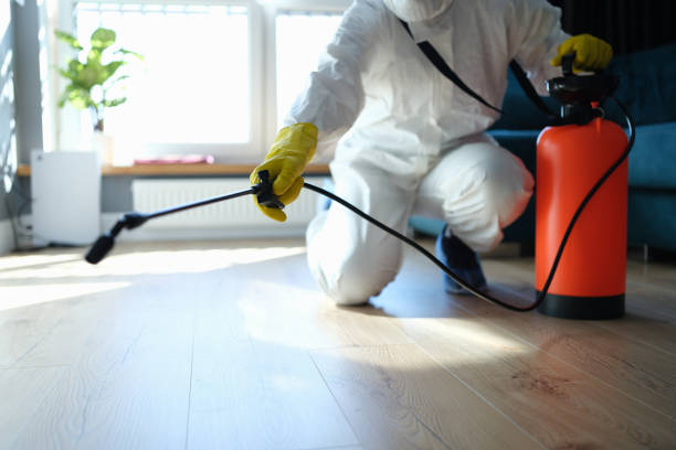 Trusted Darien Downtown, CT Pest Control Experts