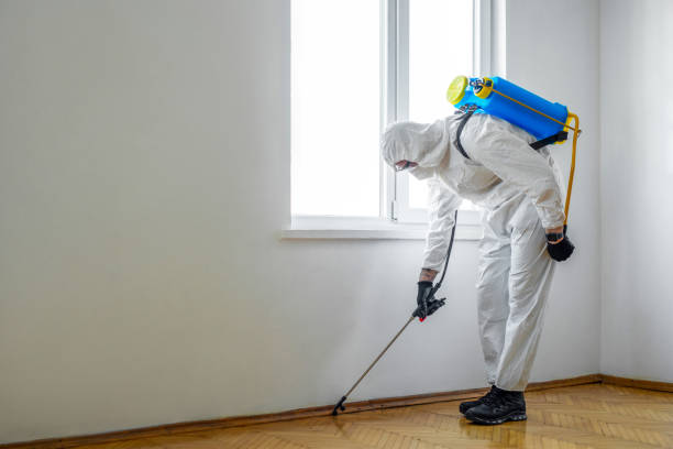 Best Best Pest Control Companies  in Darien Downtown, CT