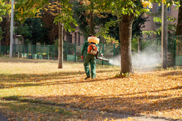 Best Pest Prevention Services  in Darien Downtown, CT