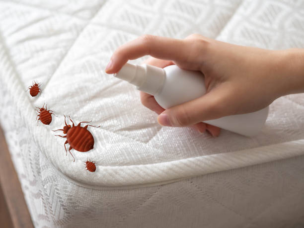Best Pest Control Near Me  in Darien Downtown, CT